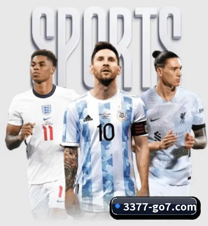 五大服务分区,信息按项目分类 - 多运动项目内容板块（3377SPORTS）